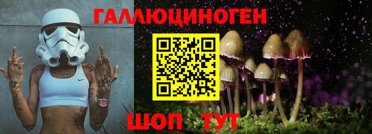 Медногорск  Псилоцибиновые грибы прущие грибы  Вход с VPN 
